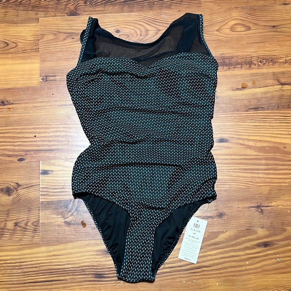 Albion The Maria One-Piece Bathing Suit